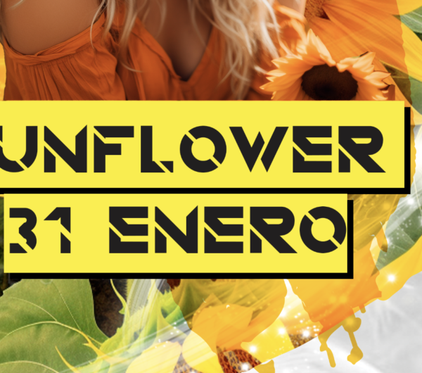 SunFlower - Imagen 2